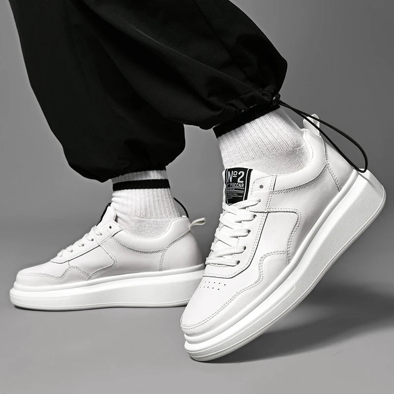 FLORIDA ( +8 ס״מ )