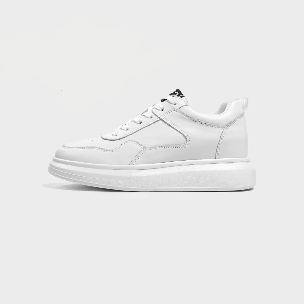 FLORIDA ( +8 ס״מ )