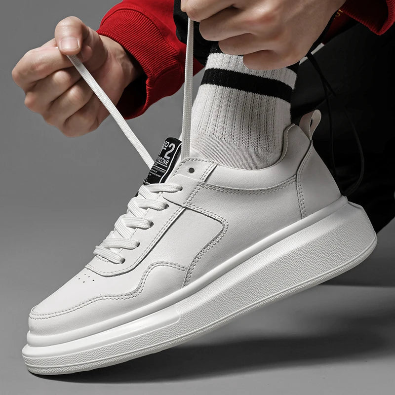 FLORIDA ( +8 ס״מ )