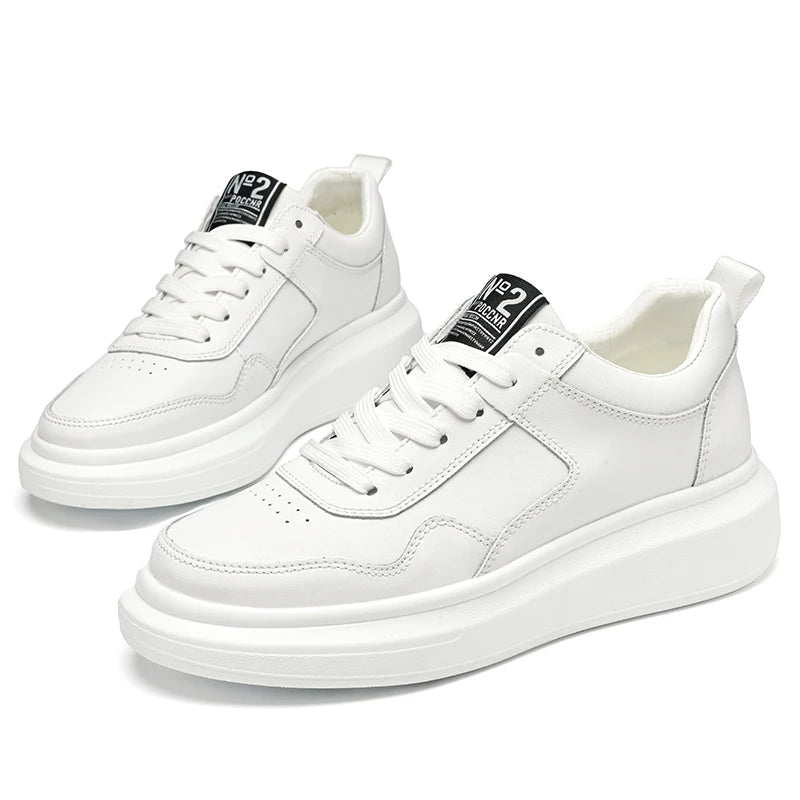 FLORIDA ( +8 ס״מ )