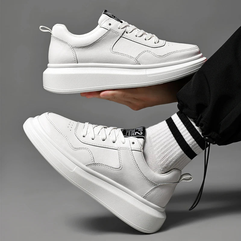 FLORIDA ( +8 ס״מ )