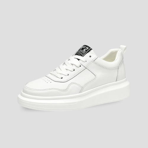 FLORIDA ( +8 ס״מ )